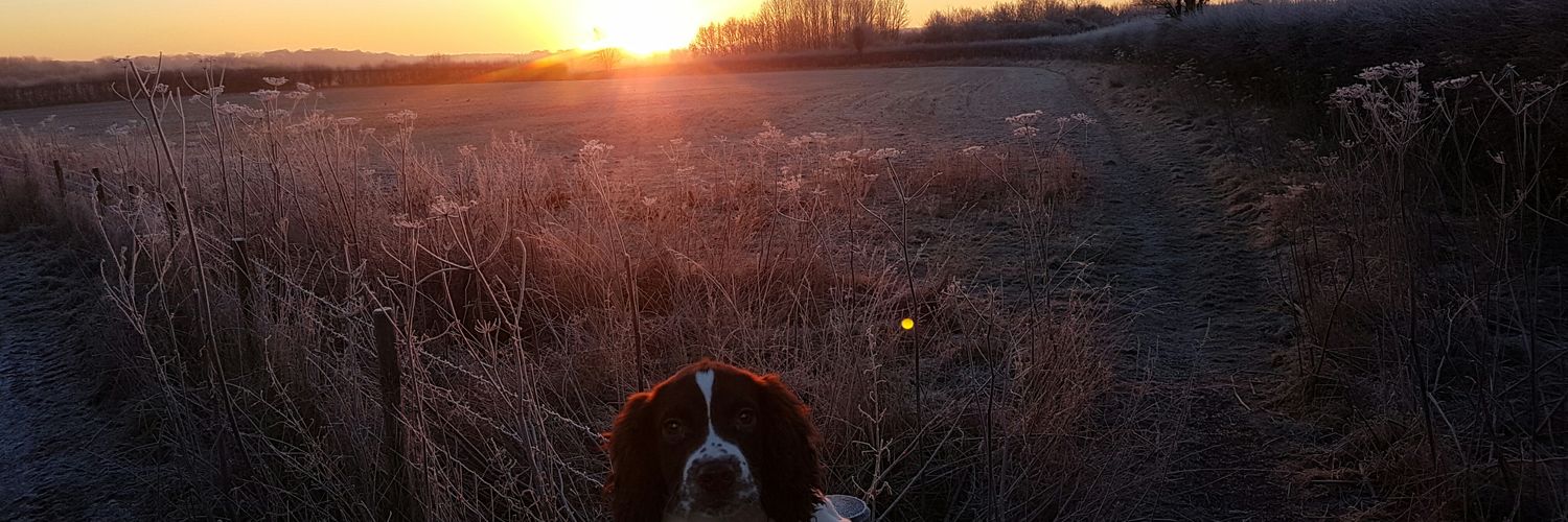 Charlie Allsop banner