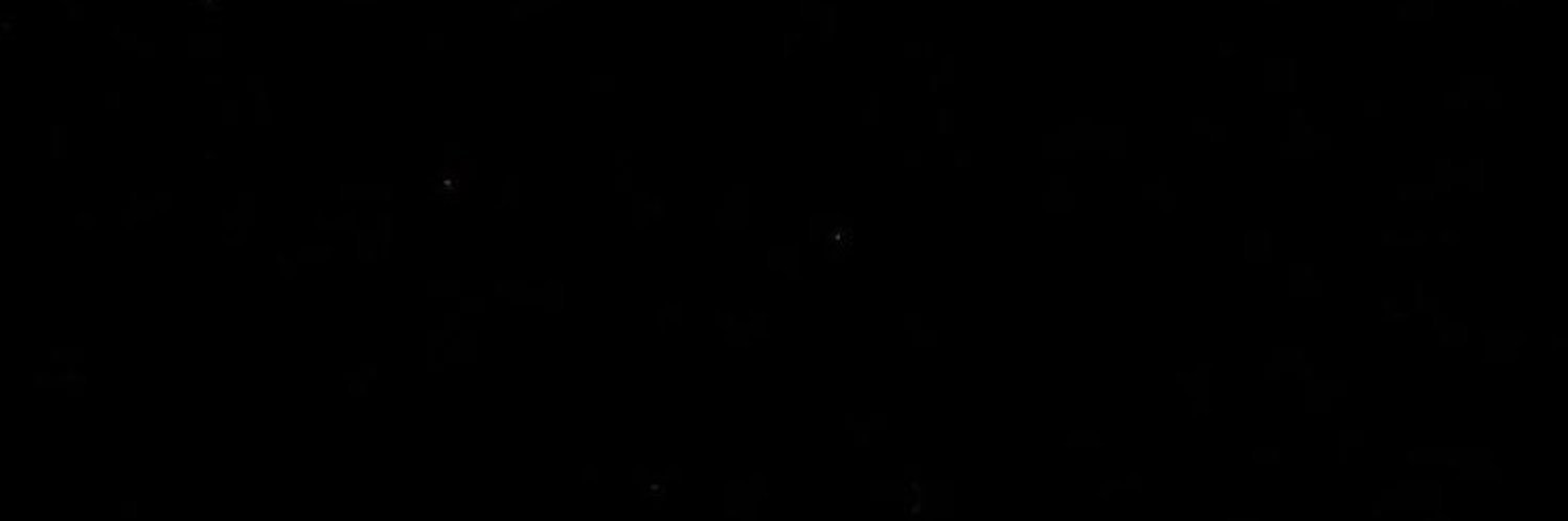 niarkob's profile banner image