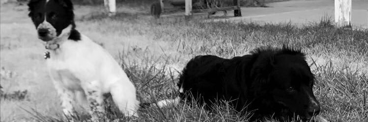 Joshbenno13's profile banner image