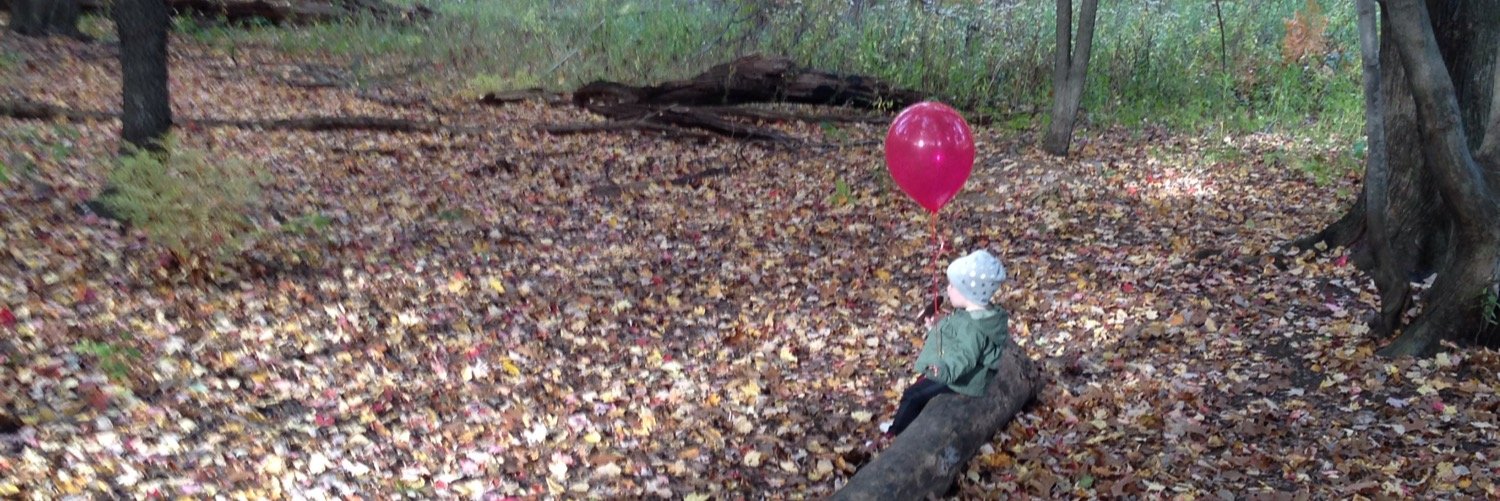 Danielle Standel banner