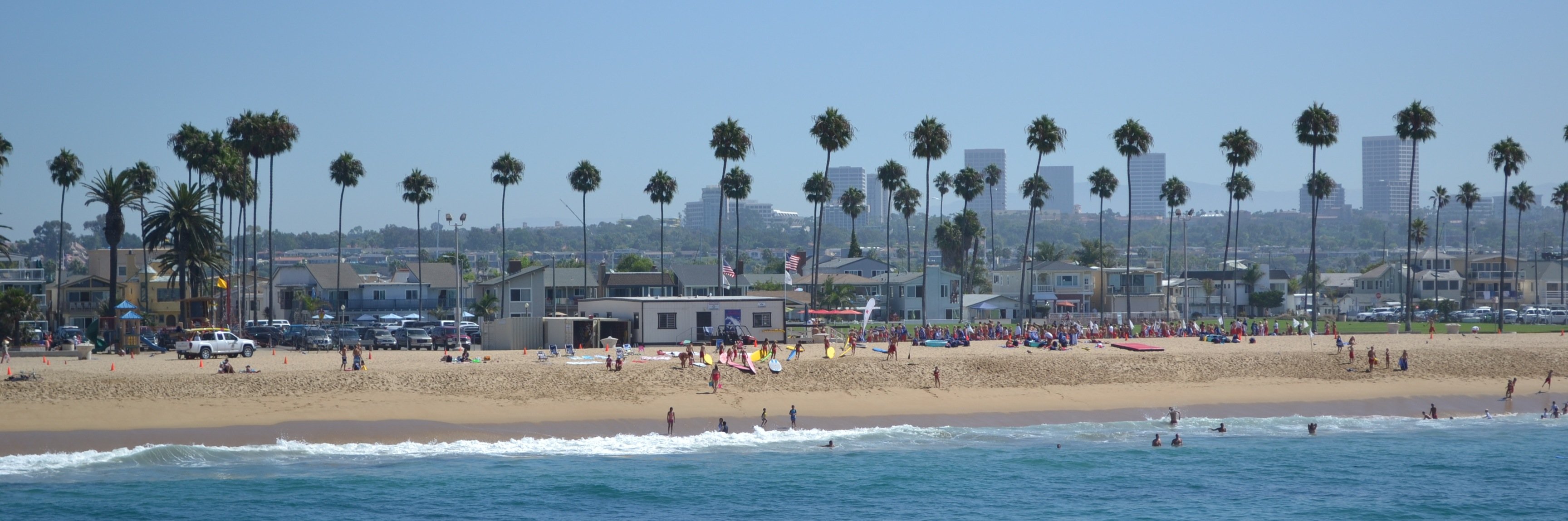 Colleen Sykes banner