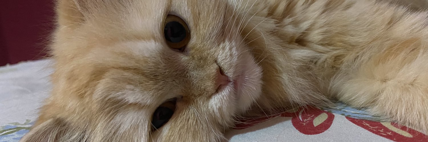 chxrsy's profile banner image