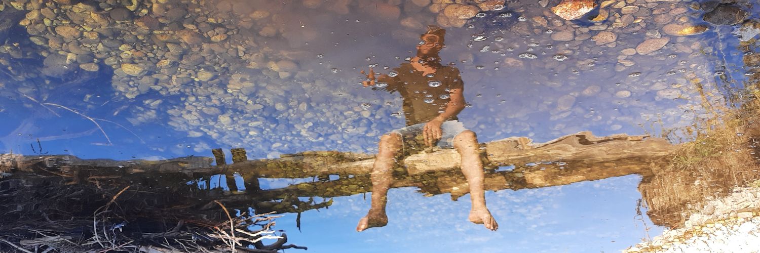 canerinal_'s profile banner image
