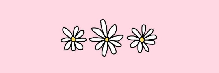 Fatima___sh's profile banner image