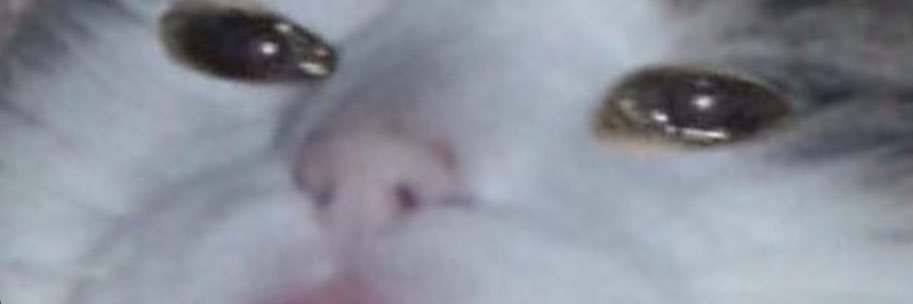 TashaNothing's profile banner image