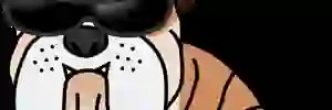 dobrbobrs's profile banner image