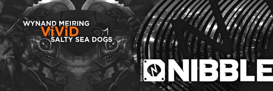 hs_ViViD's profile banner image