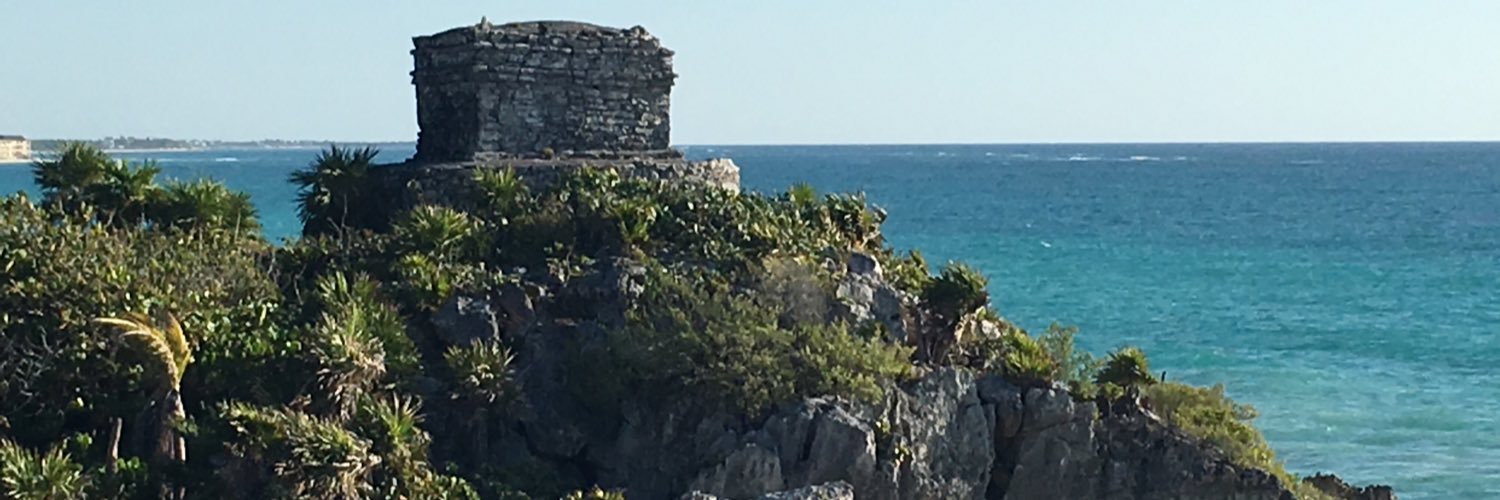 lrfine's profile banner image