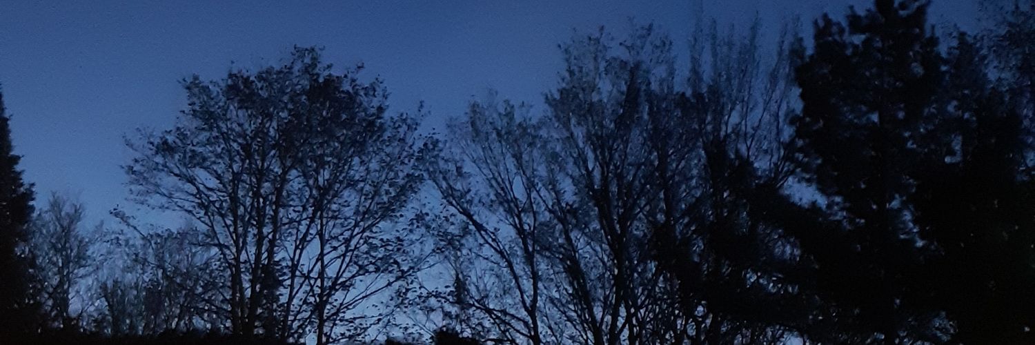 jujugiroo's profile banner image