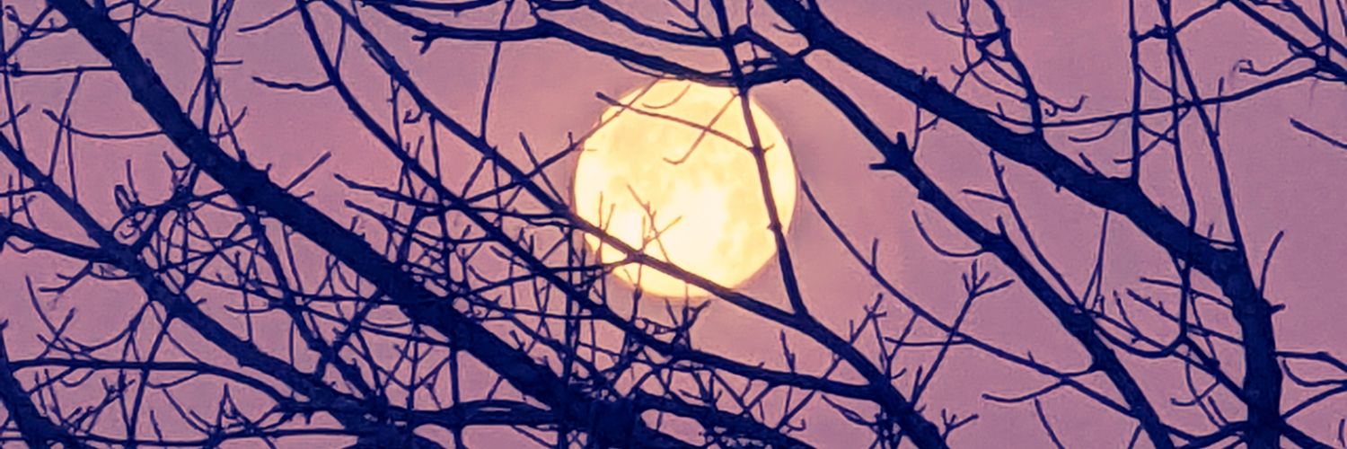 Nomtastic's profile banner image
