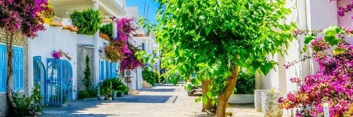 SevgiAlpar's profile banner image