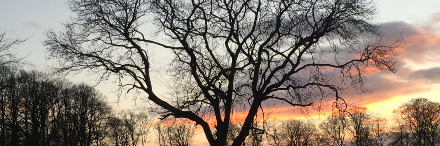 Gra1nne's profile banner image