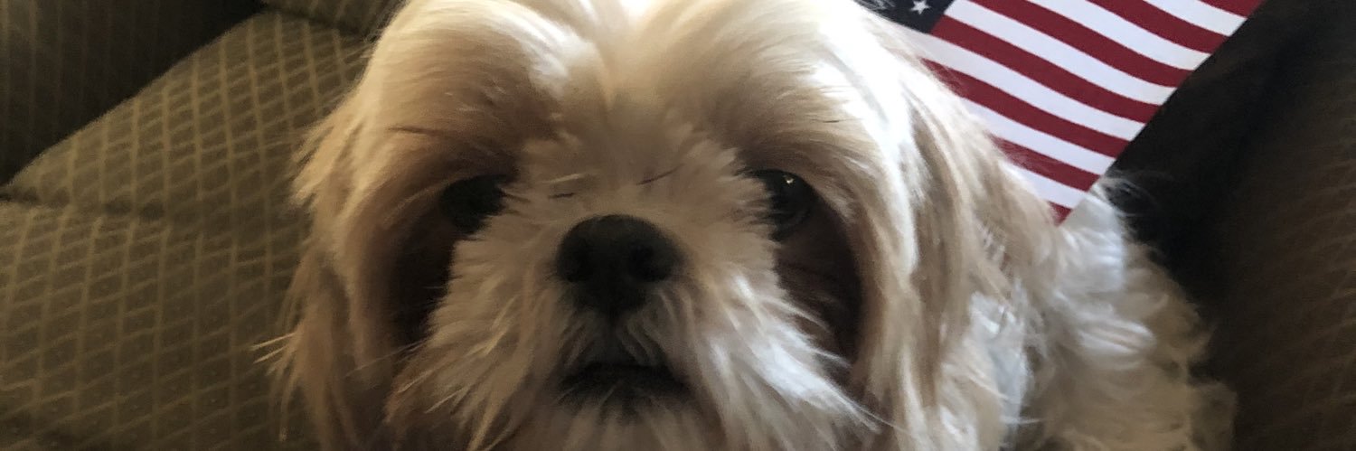 StinkySunny's profile banner image