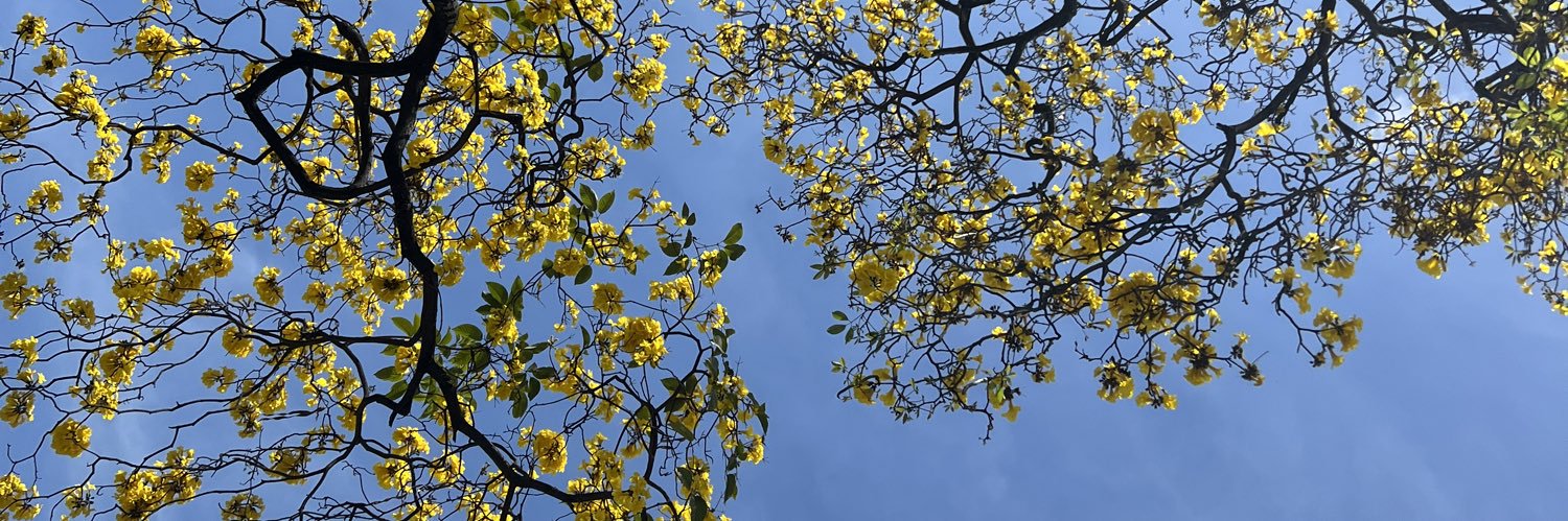 Patty1329's profile banner image