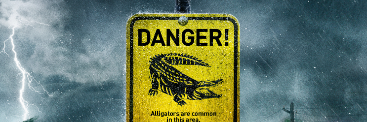 Alexandre Aja banner