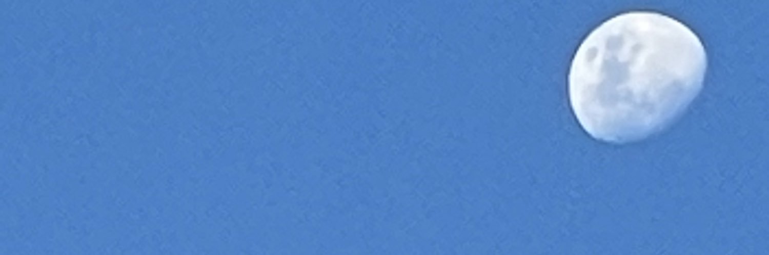 mascarese's profile banner image