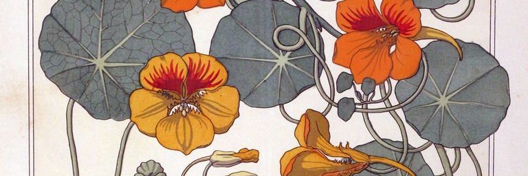 mitinmv's profile banner image