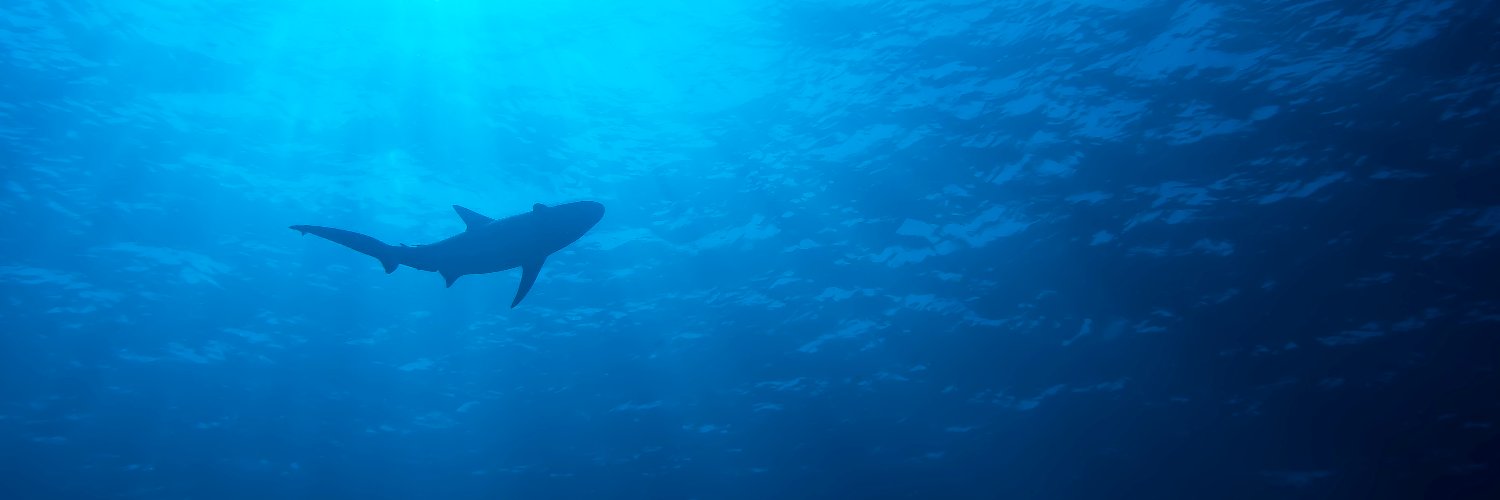Meagan Pollock, PhD banner