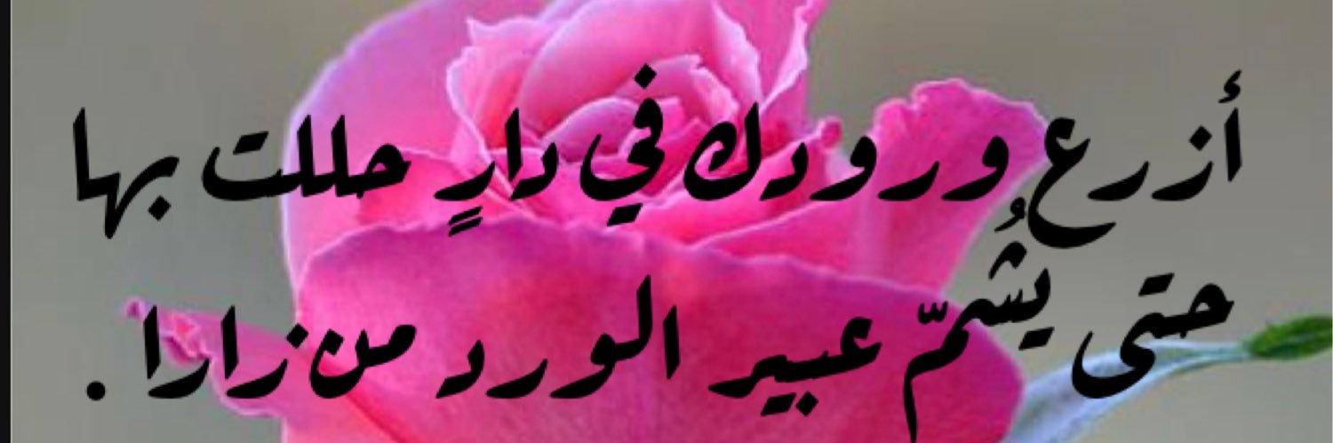 عيون الصقر banner