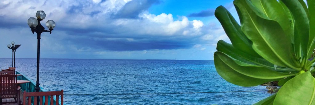 Ziie52's profile banner image