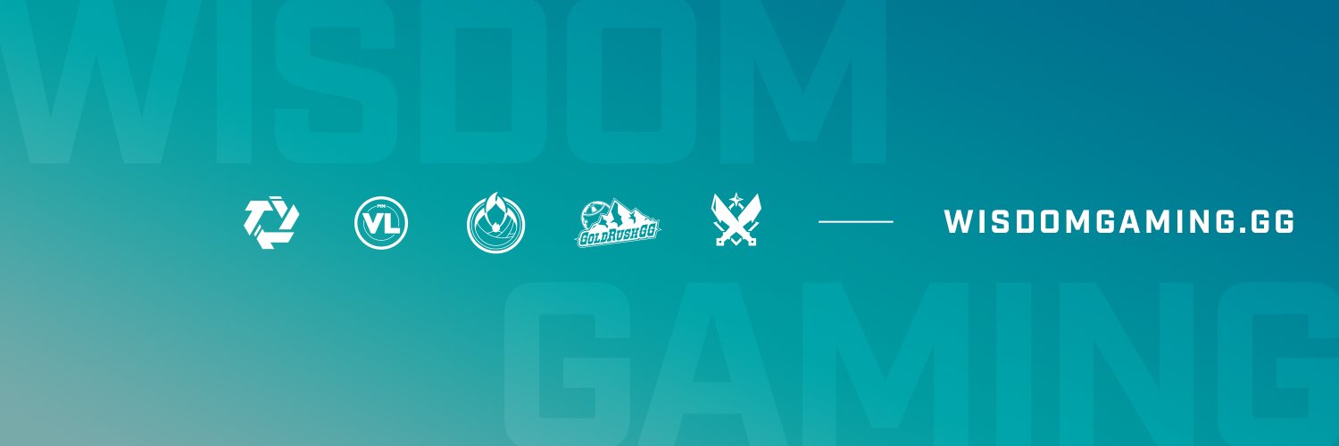Wisdom Gaming banner