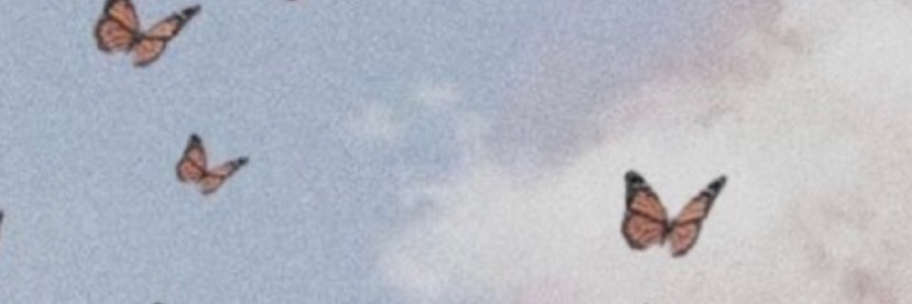 _BridieWY's profile banner image