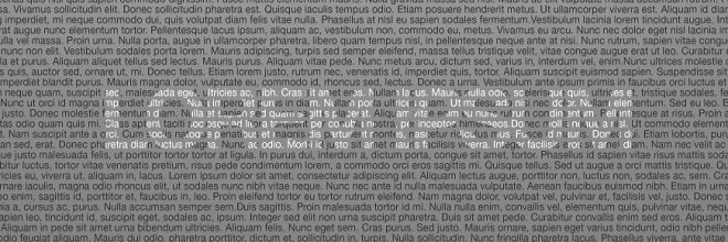 AleRechePuerto's profile banner image