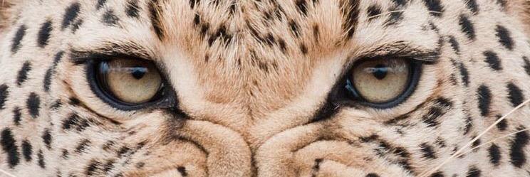 larazatti_'s profile banner image