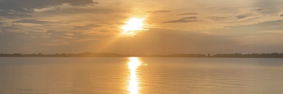 Shannons_Mariee's profile banner image