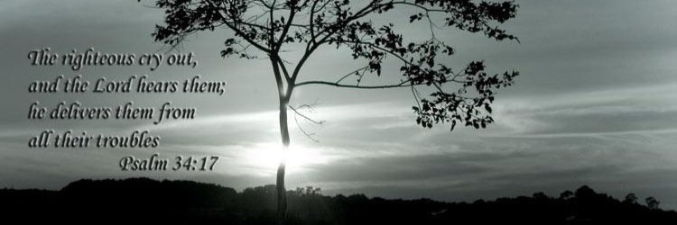BC7212's profile banner image