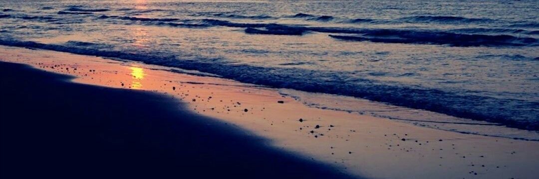 SayaAzwanTalib's profile banner image