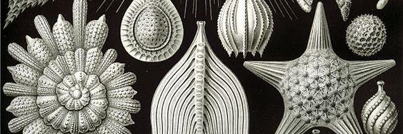 Juan Carlos Moreno banner