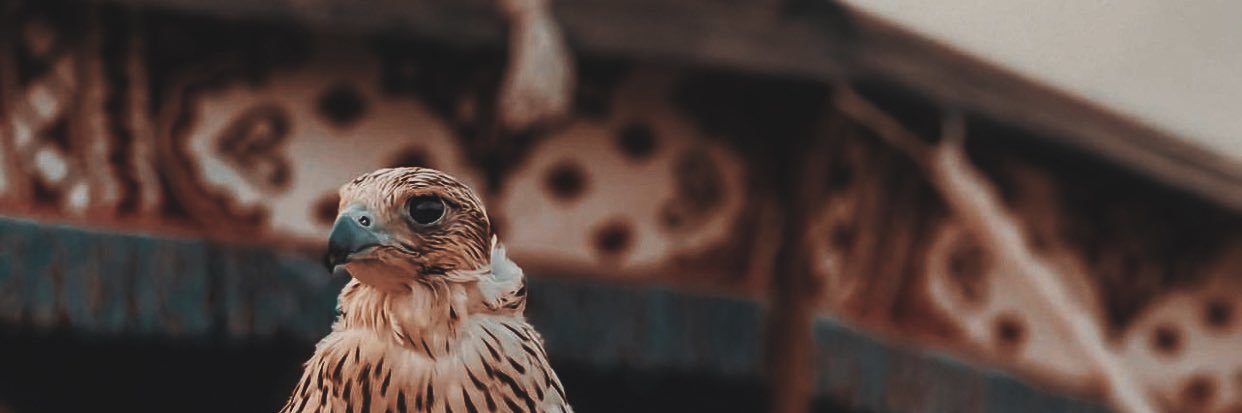 AbdUlAzizSa0's profile banner image