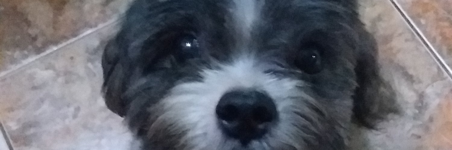 glennroh's profile banner image