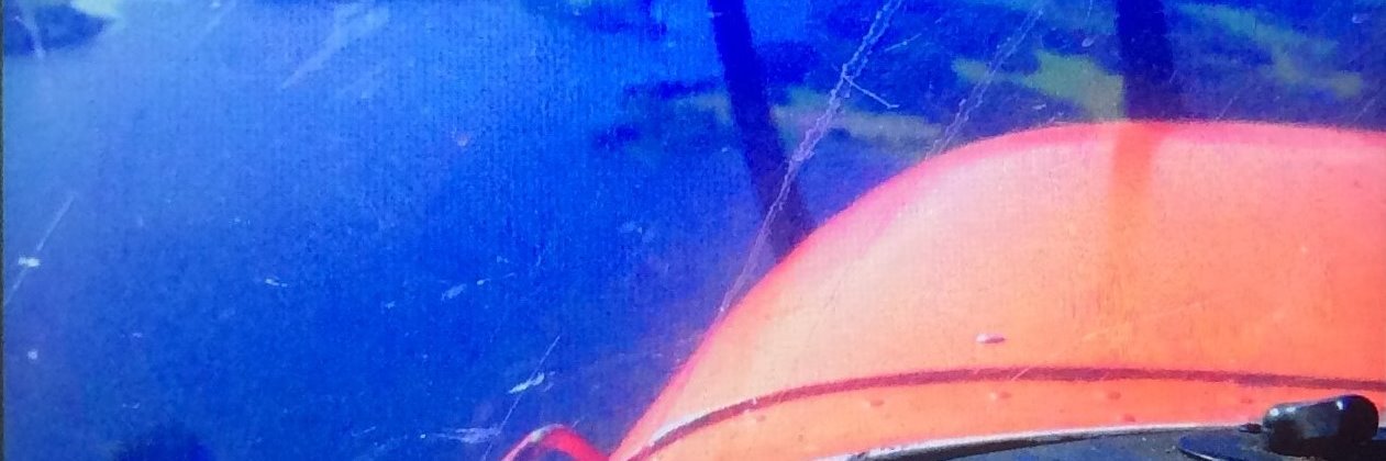 Jasenko Selimovic banner