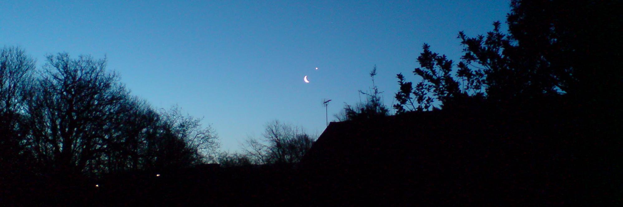 Alifeofbrain's profile banner image