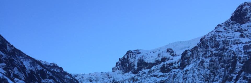 martuli banner