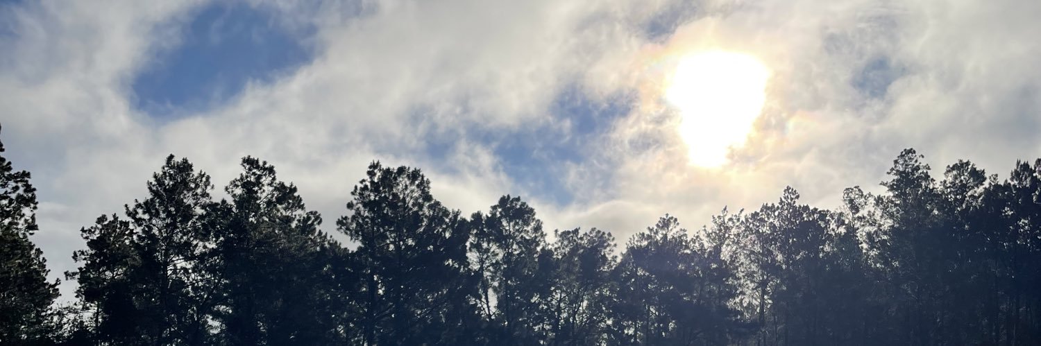 lufejiba's profile banner image