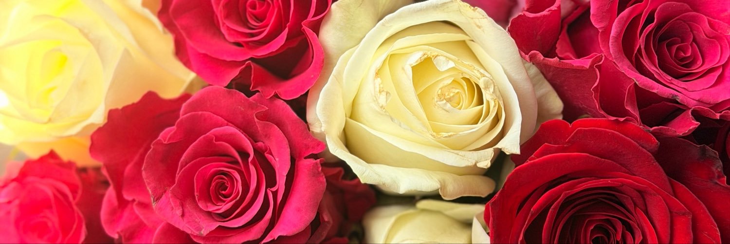 but_idgaf's profile banner image