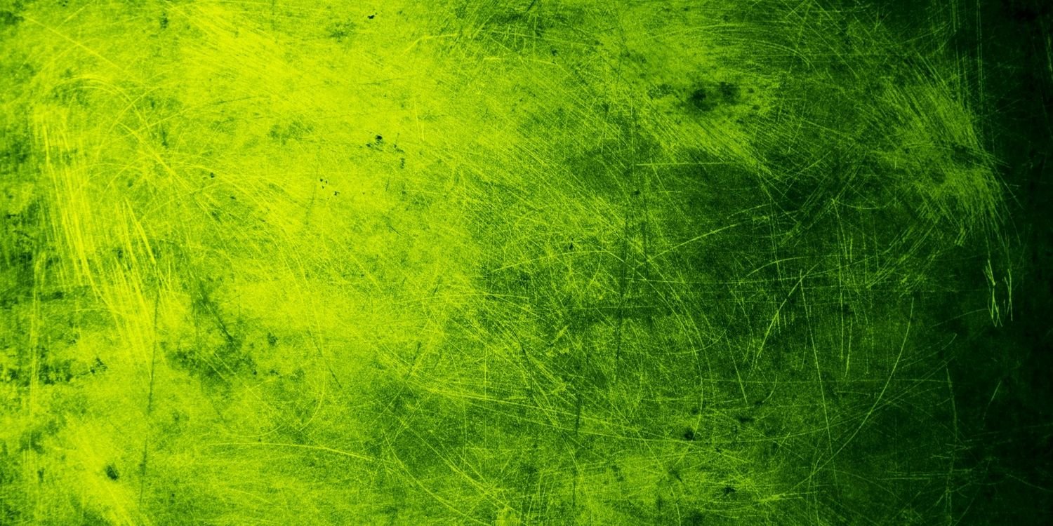 Lpugacarrillo's profile banner image