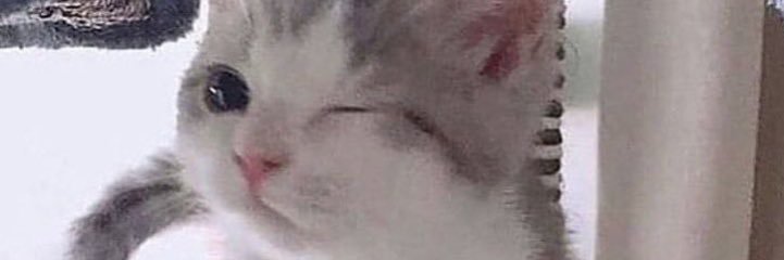 nosensedeb's profile banner image