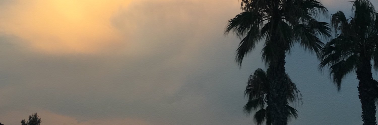 Lucee83's profile banner image