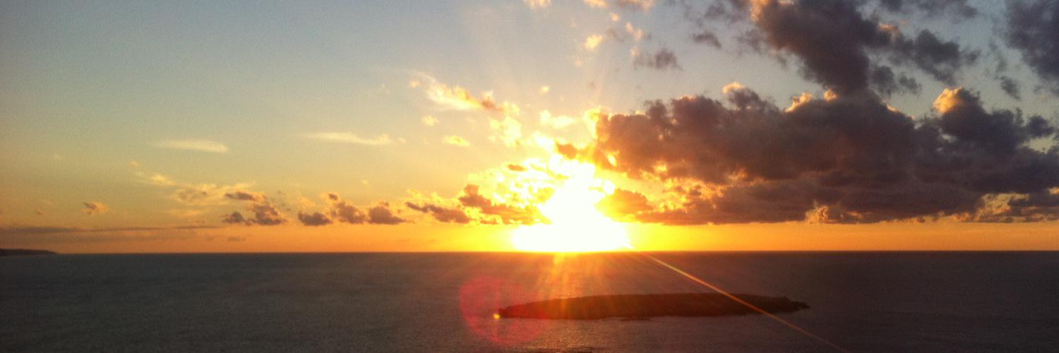 Del cielo bajaste banner