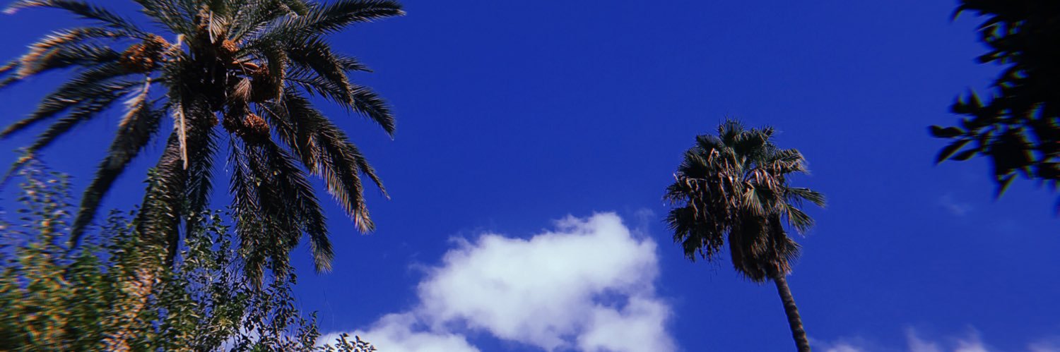 Lidia_czz's profile banner image