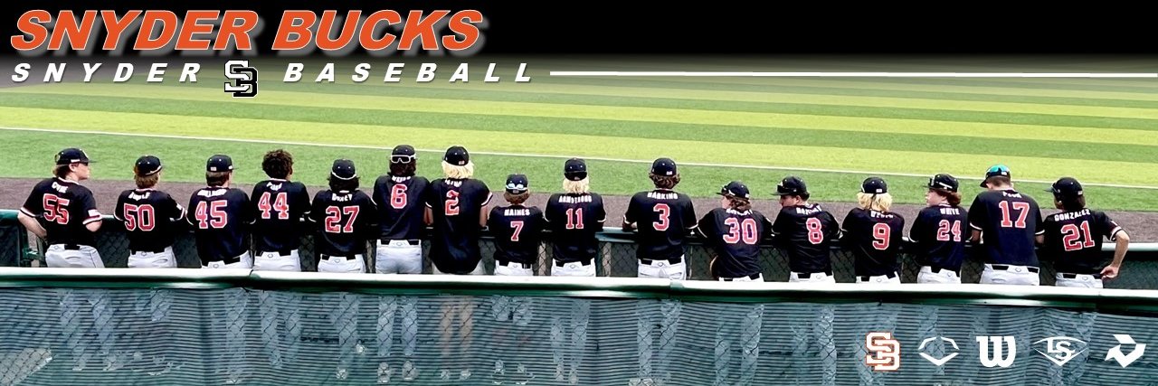 Snyder Baseball banner