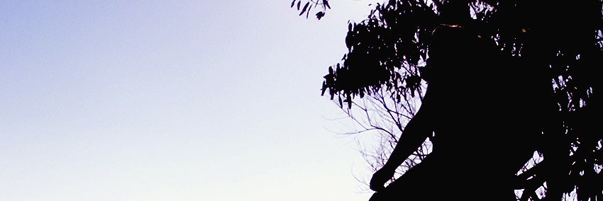 carepuky's profile banner image