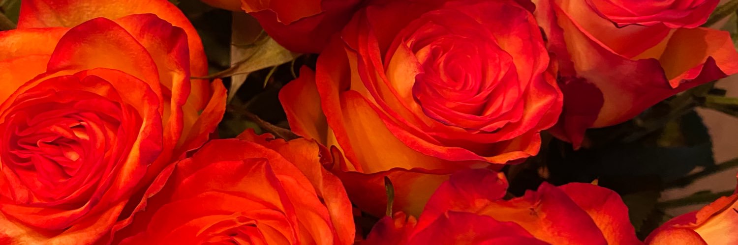 Bumpass657's profile banner image