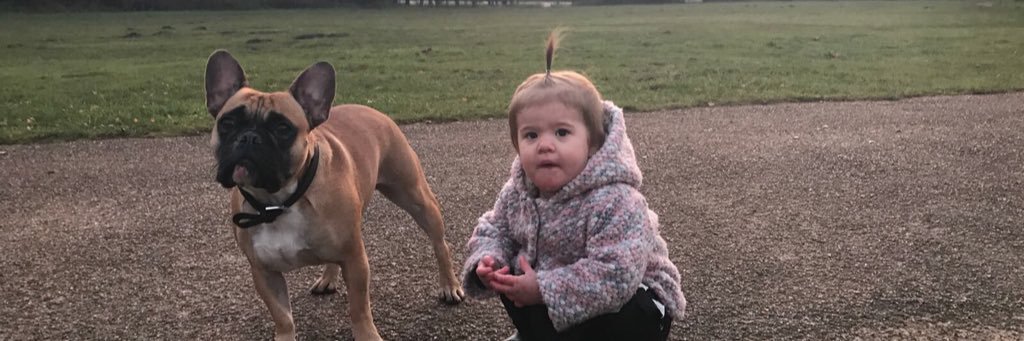 Erinchapman1's profile banner image