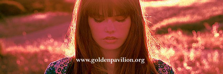 Goldenrec's profile banner image