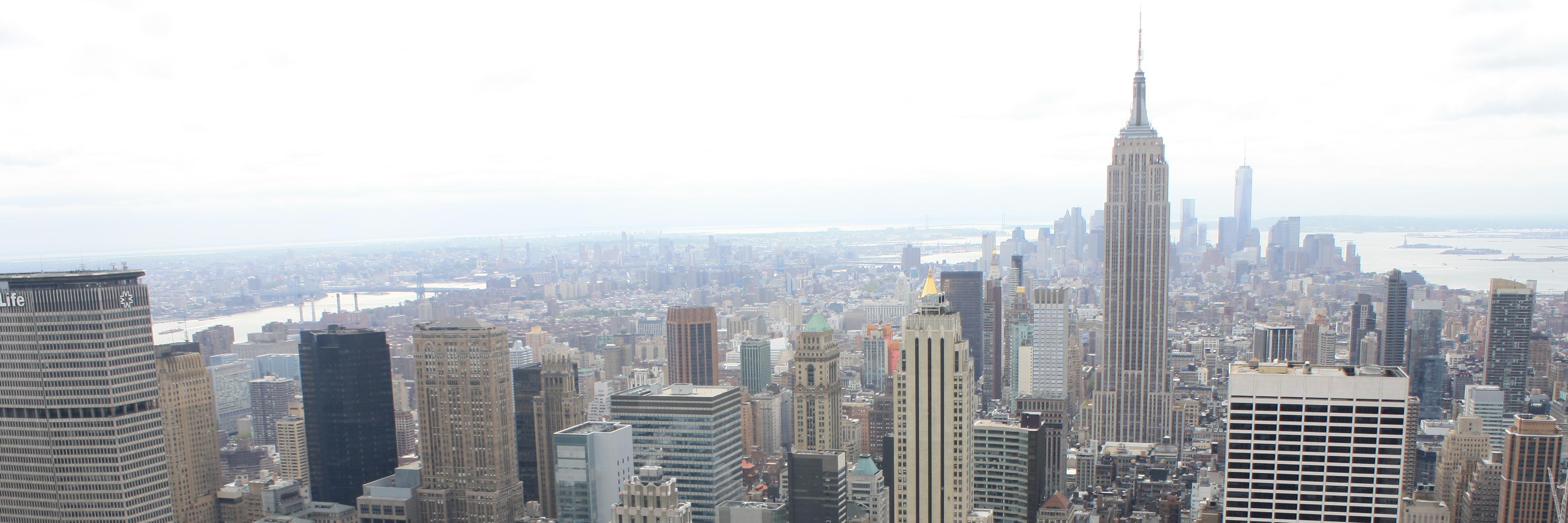 AS_amaliafra's profile banner image